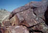 Rock Art Pima County Arizona