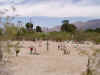 El Fuerte Cemetery Tucson Arizona